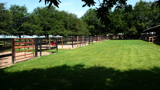 a row of horse fences